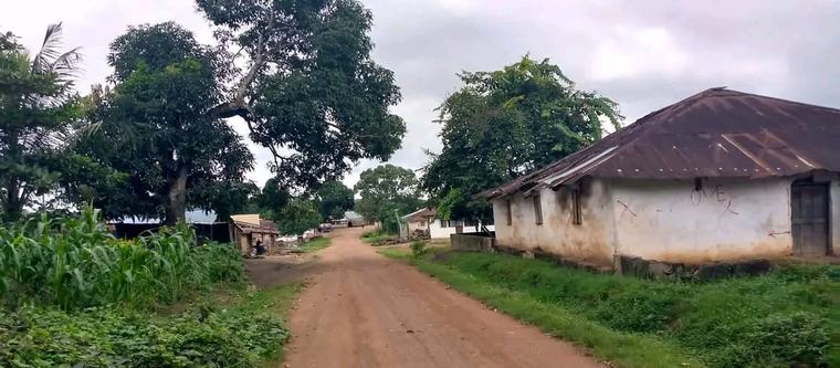 Four Reported Deaths Spark Fear in Panta